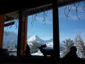 Le Montagnou photo 21