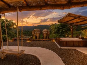 Elephantpoolvilla maetang Chiangmai
