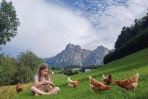 Pilgram Farm Lodges Dolomites