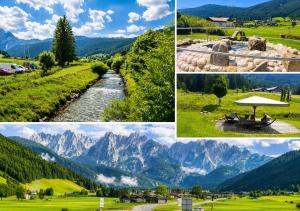 Forest Apartment Gosau