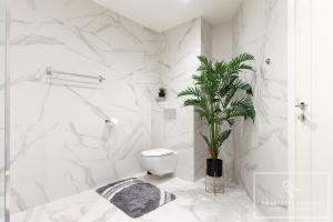 High-End 2BR, Ambassador building, Lift, Skyline view