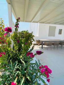 "Big Blue"Seafront Villa Naousa Paros