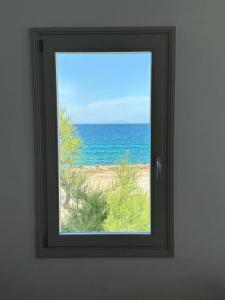 "Big Blue"Seafront Villa Naousa Paros