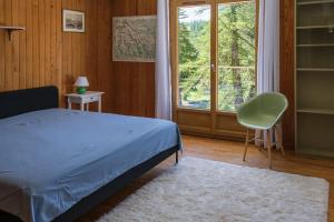 Maison familiale avec grand jardin, vue montagne à 2km de Valberg