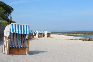 Denise die Ostsee Hummel