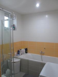 Polyfunkční dům Pasát