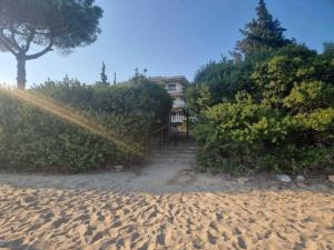 Galini 2 Beachfront Apartment