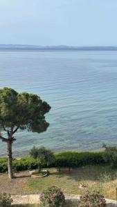 Galini 2 Beachfront Apartment