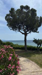 Galini 2 Beachfront Apartment