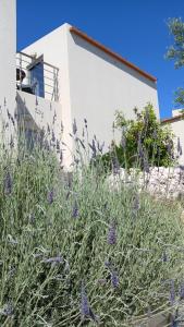 Stunning 2 bedroom private villa in Kastellos, Rethymno