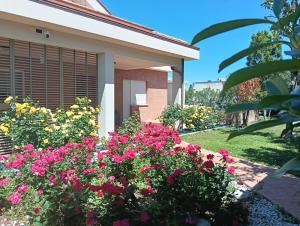 La Principessa Nera B&B