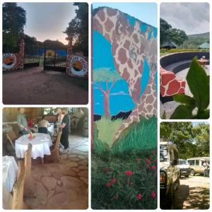 Giraffe Hills Mara Camp