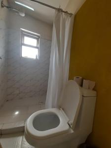 Blessy suites