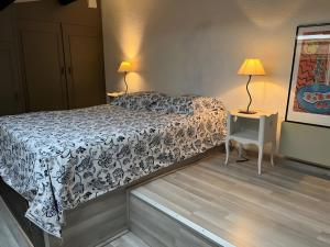 App Cap Ferret avec Piscine Ref 89