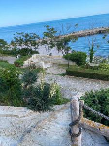 Studios Sea View