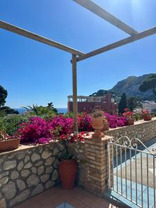 Capri Joy Apartments