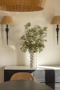 Thymonia House