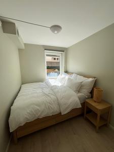 High standard apartment in Bergen