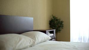 Hostal Paraíso Vip