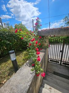 Villa Laura app 2