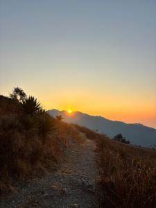 Get wild camping