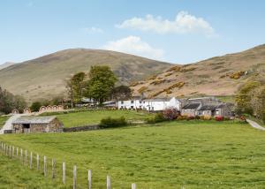 Lowside Farm Glamping