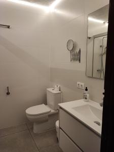 Apartamento colibrí