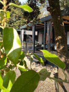 Luxury mobile home Bura