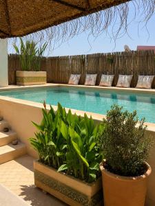 Riad Amya & Spa