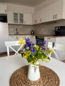 Litovelské apartmány