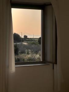 Ali nel Vento - Lo Stagnone Marsala