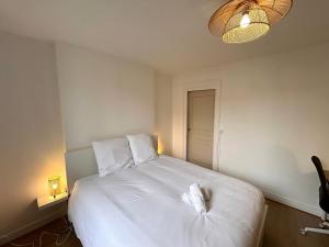 La Suite Pierret Centre-ville