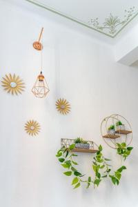 Oasis in the Center with Garden by Synergy Up to 5 guests