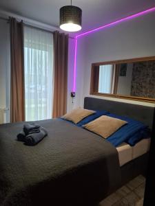 Kameralny Apartament z Balkonem