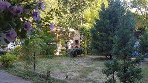 Dacha Pool and Grill