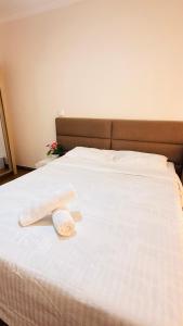 Apartment in prior Velho