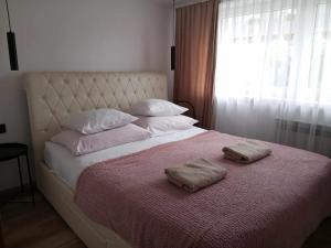 Panorama Pienin- apartamenty i studio