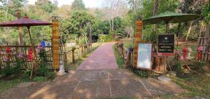 ForRest Peace Forest แม่กำปอง