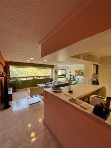 Green View Loft Condesa