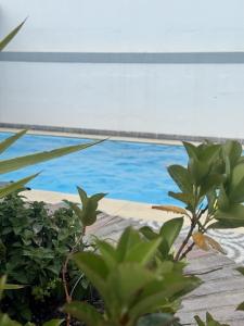 Morada da Vovó Alda