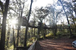 Cabaña Gokotta, Punta del Bosque