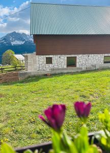 Aura Durmitor apartments