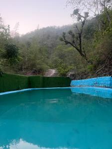 Hill Nature Camp & Resort