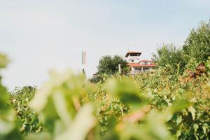 Casa Seciu
