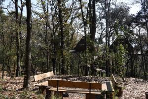 Cabaña Komorebi, Punta del Bosque
