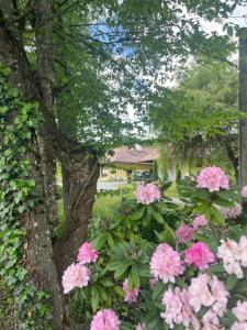 Landhaus Wulfenia - APARTMENT KLAGENFURT - Private Sauna, Smart-TV, Air Conditioning, Free Parking