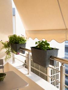 Luxury Urban Apartment Tirana