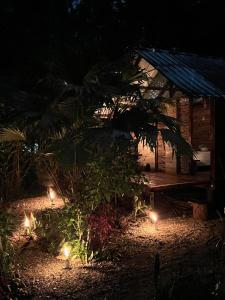 Ancestra black ecolodge