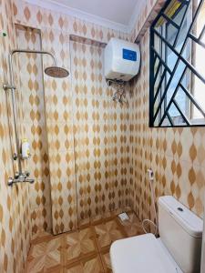 Arusha town apartment