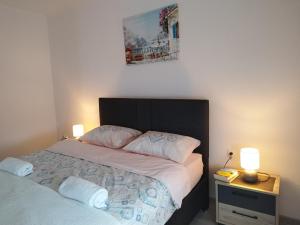 Apartment White Rose